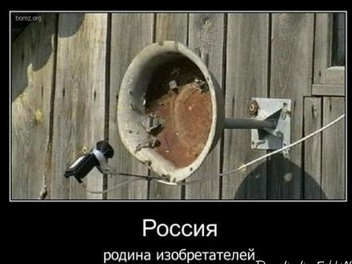 Стив Возняк стал обладателем первого смартфона Google